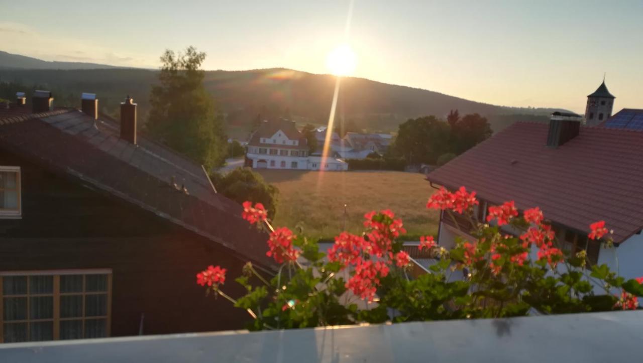 Haus Haidweg - Ferienwohnungen In Haidmuehle Im Dreilaendereck De-Cz-At Exteriér fotografie
